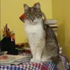 Отзыв от Анжелика Круглова
